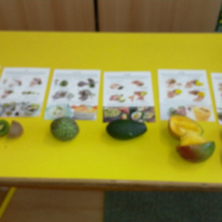 Školáci ochutnávali exotické ovoce
