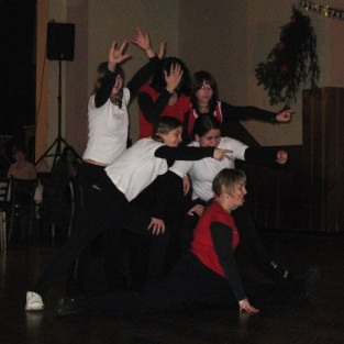 Obecní ples 2008
