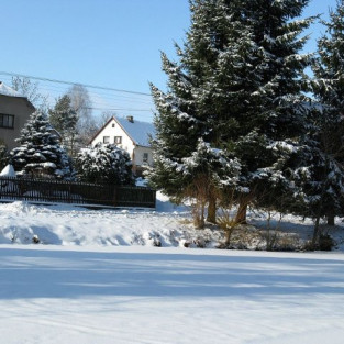 Zima 2009 I