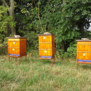 První včelstva včelaříků