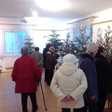 Seniorky navštívily výstavu stromečků