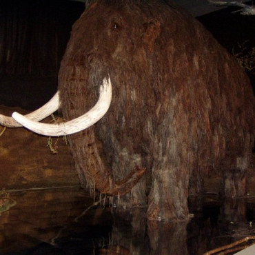 Výprava za lovci mamutů