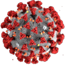 Informace o koronaviru